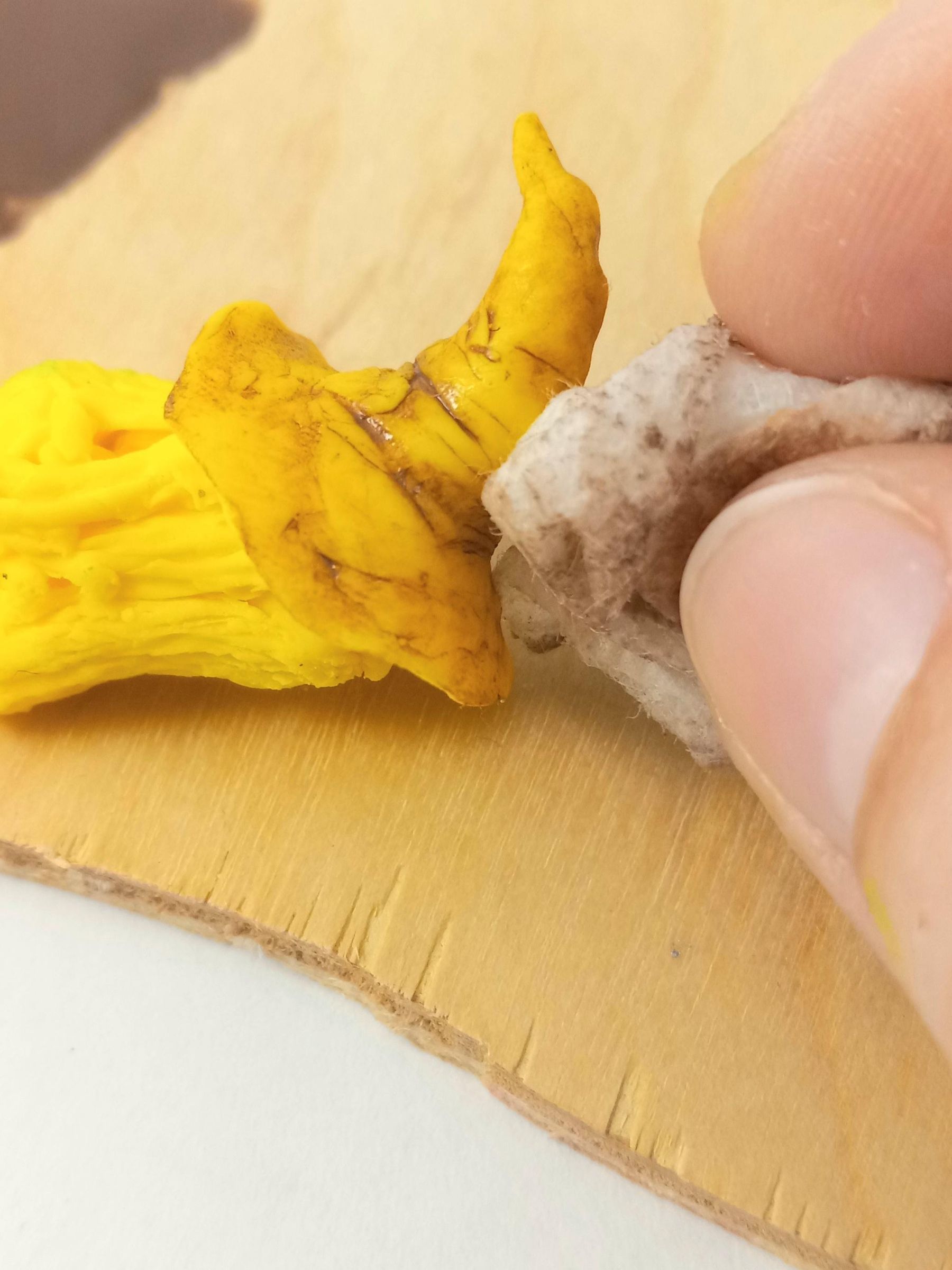 Use Paint Washes to Help Details Stand Out in Clay : 6 Steps (with ...