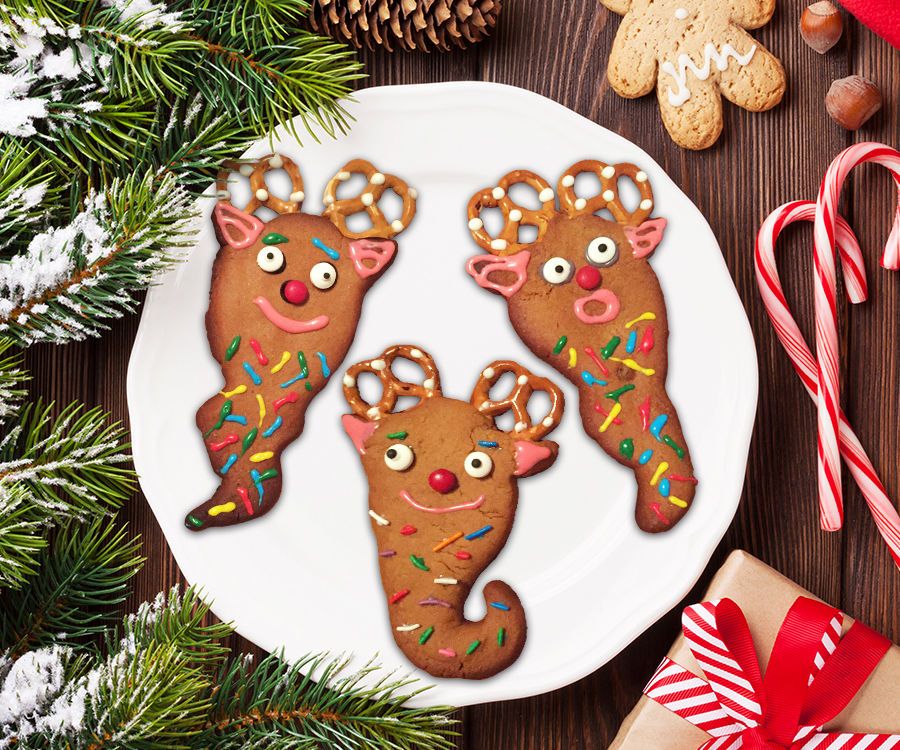Rare Yool Gingerbread Cookie
