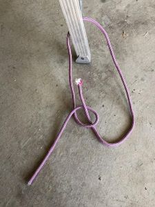 Snake Comes Up Out of Hole