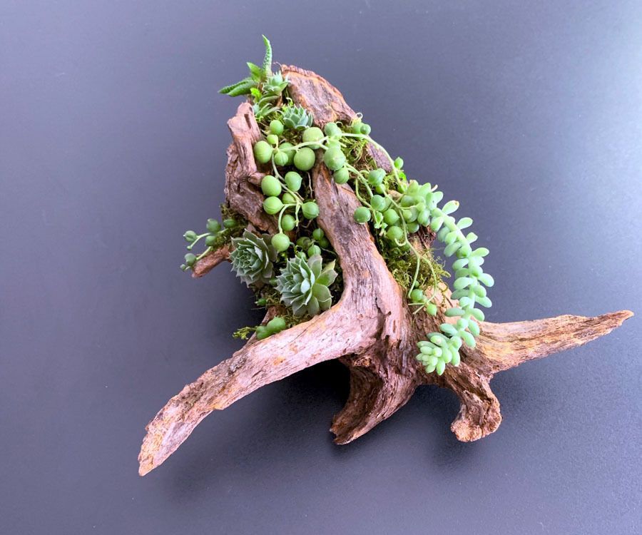 Cedar Driftwood Planter