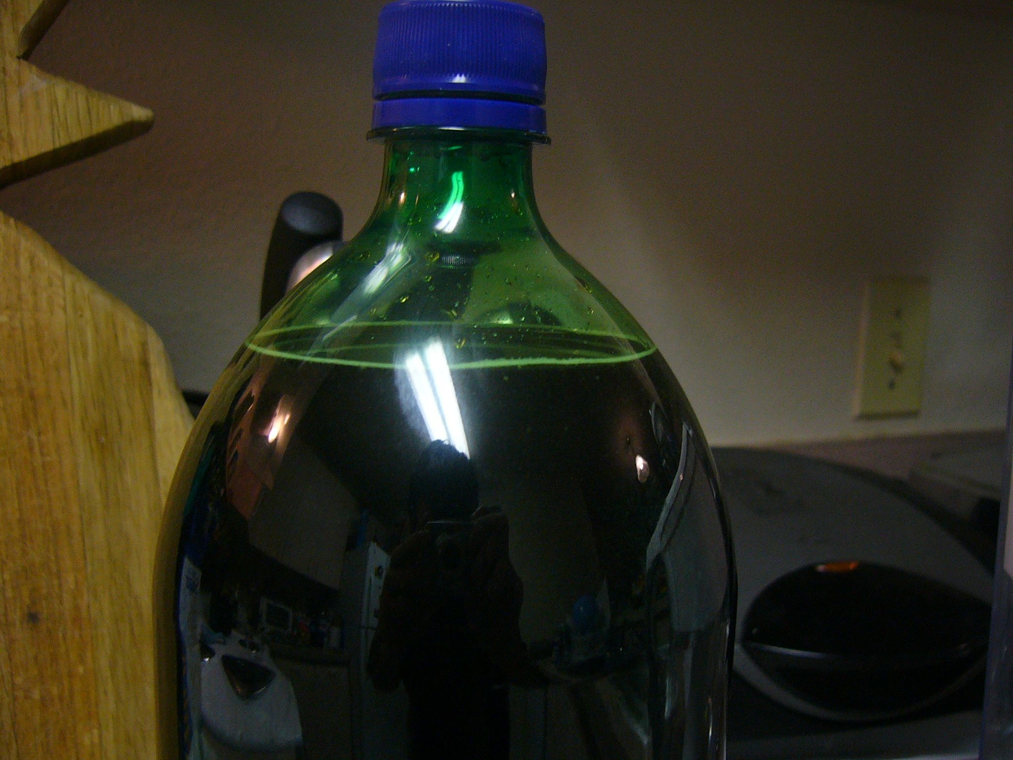 Carbonated Homemade Sassafras Love Potion