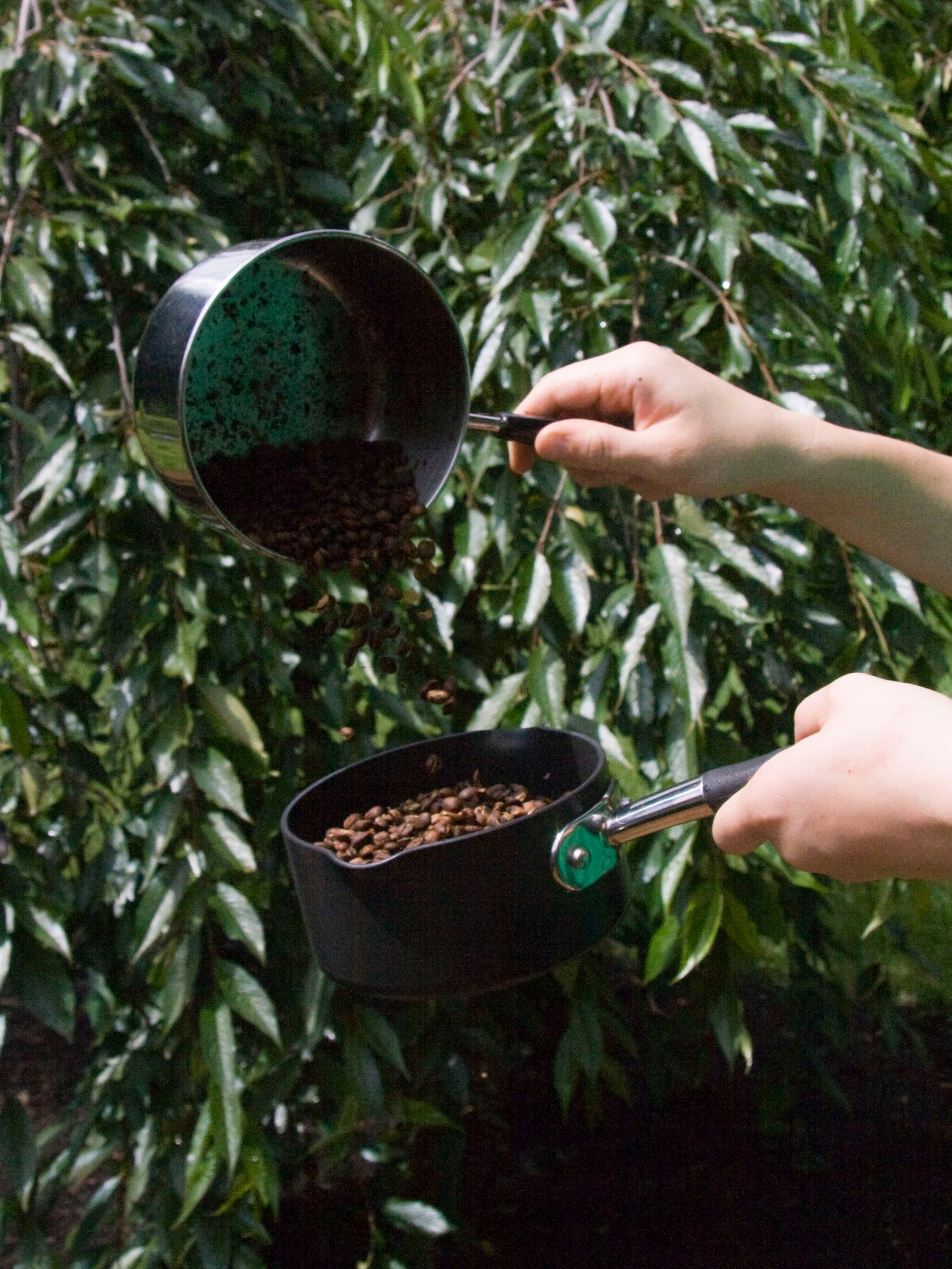 Roast Your Own Coffee [Whirley Pop Method] 6 Steps (with Pictures