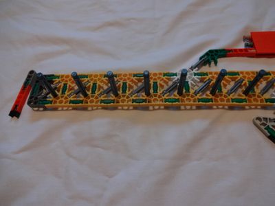 Main Body