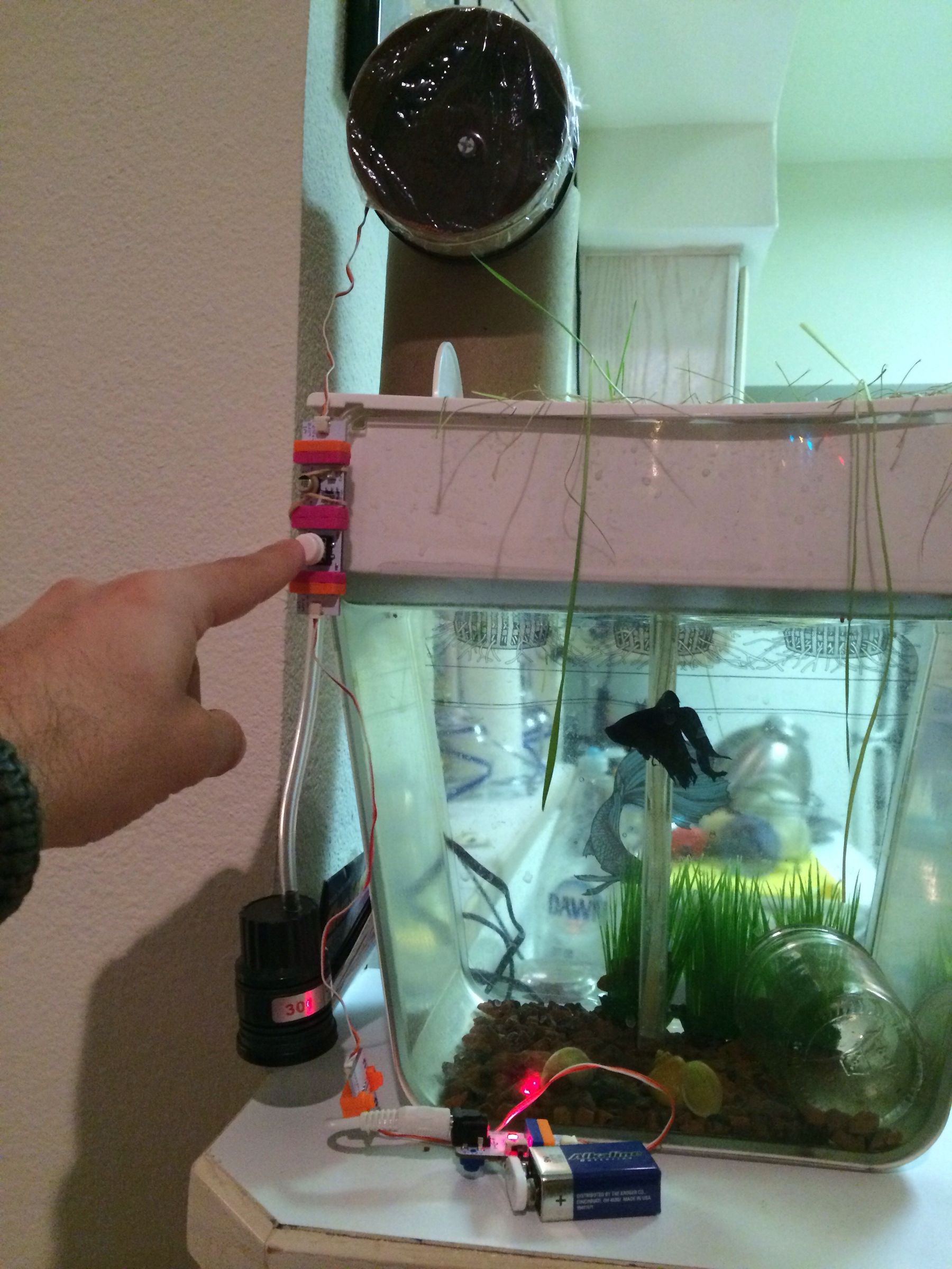 One Button Fish Feeder