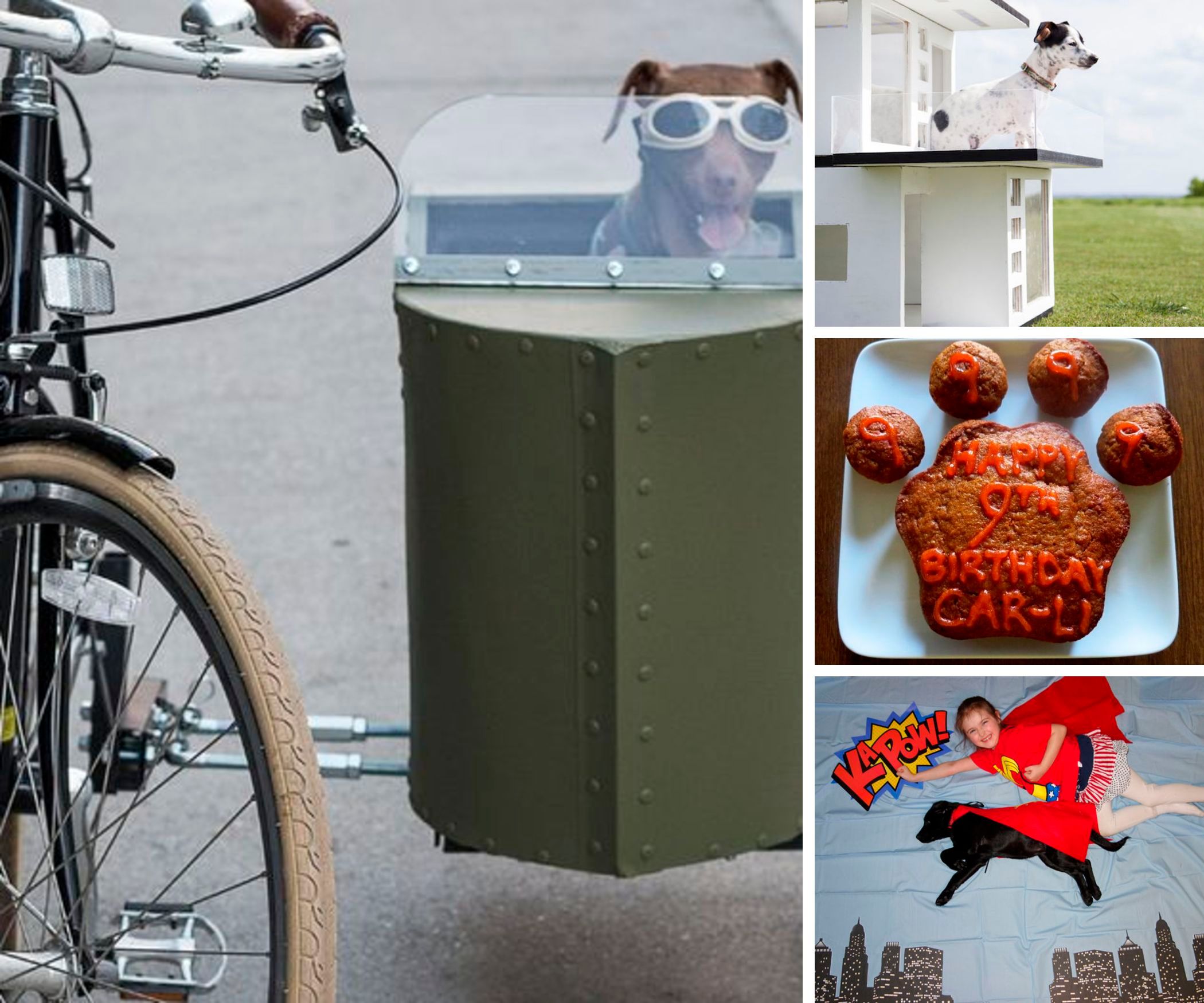 33 DIY Dog Projects