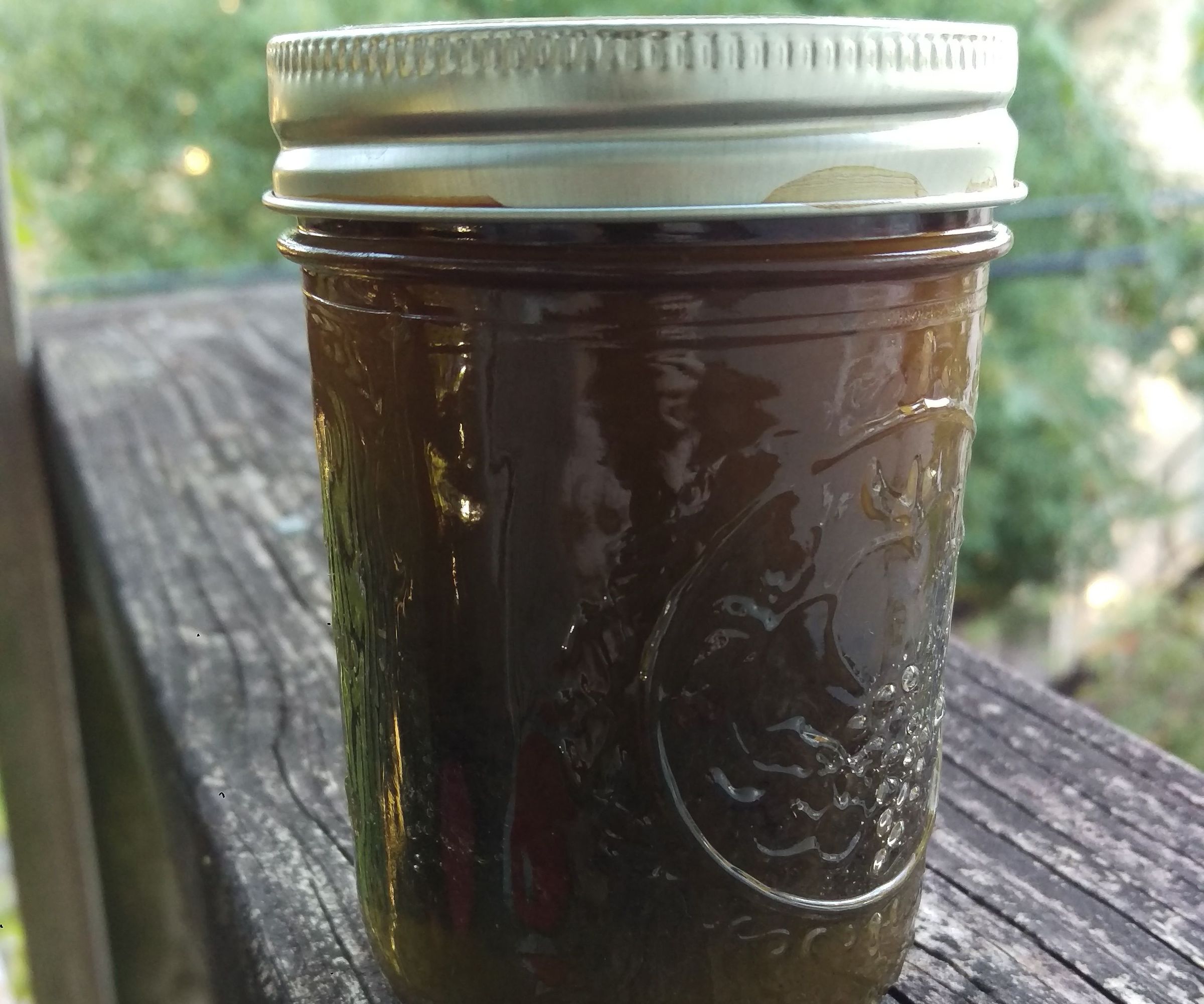 Vinegaroon Black Leather Dye