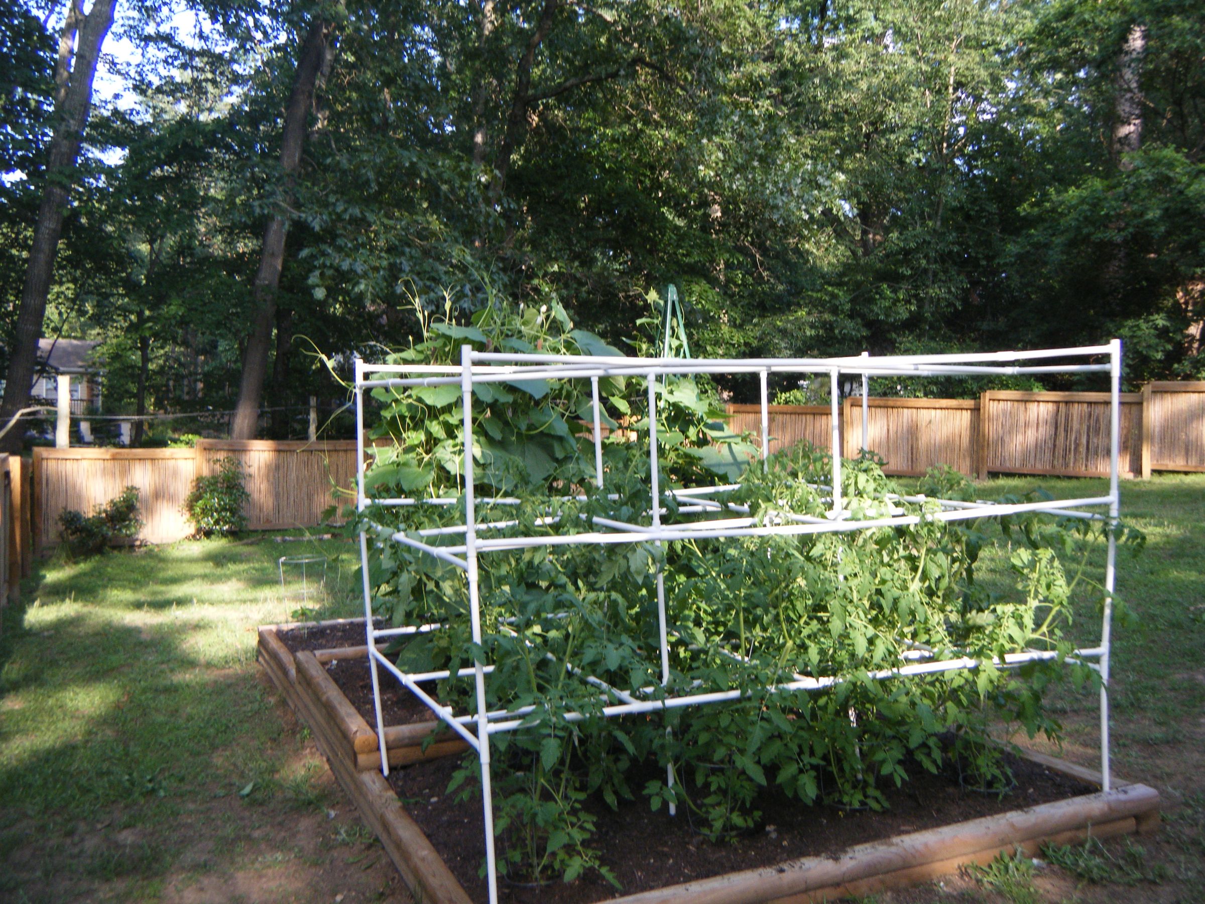 Tomato Cage With PVC 10 Steps Instructables