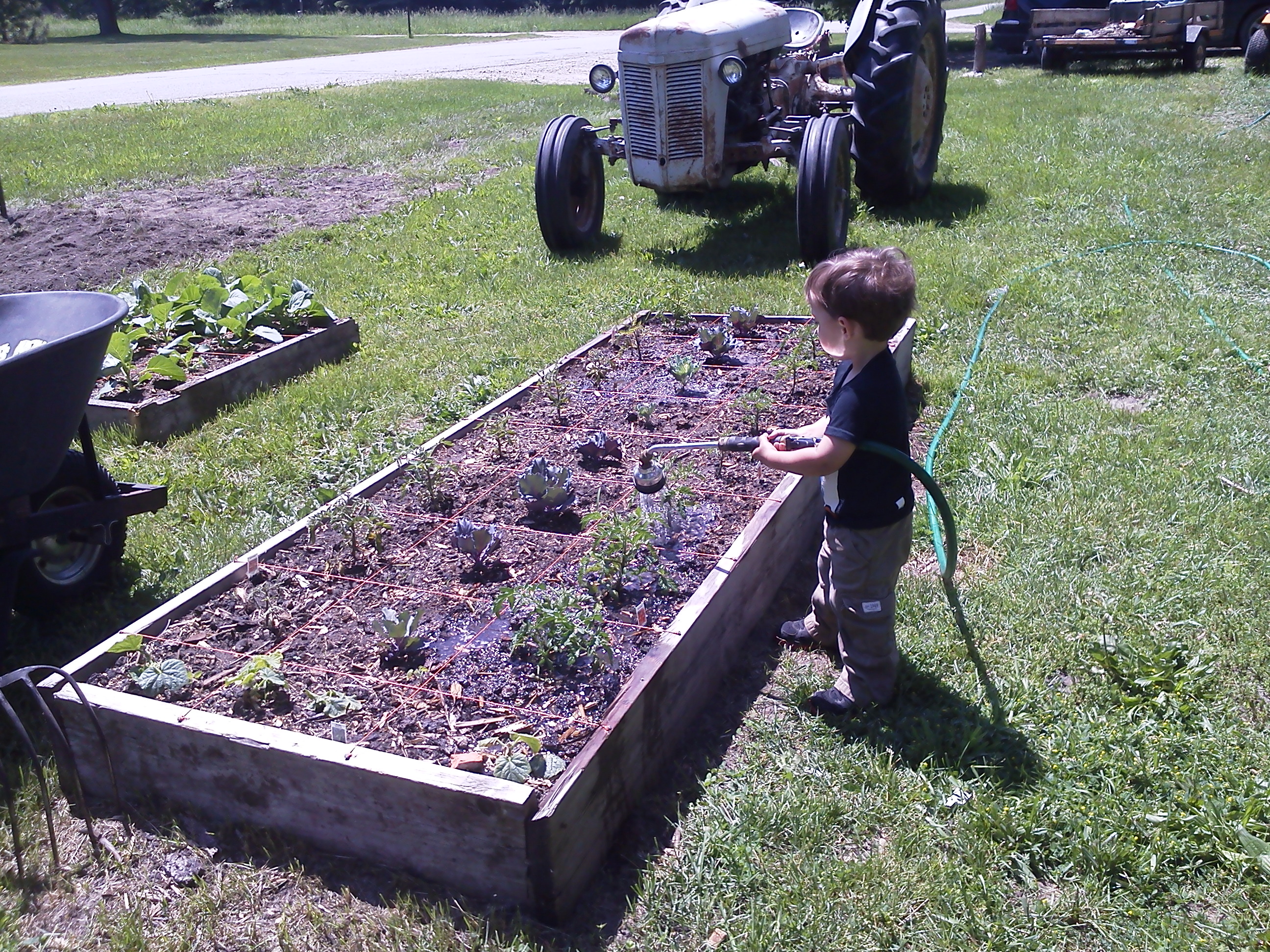 Hydroponic Dutch Bucket Using Recycled Coffee Cans 14 Steps