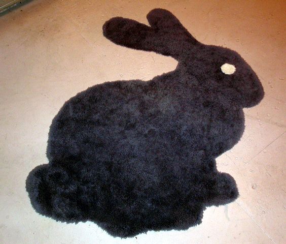 Bunny Rug - Transferring an Image to Any Surface With a Projector