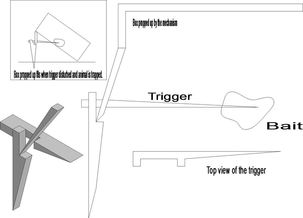 Making a Really Simple Rabbit Trap : 6 Steps - Instructables