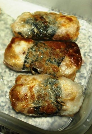 Leftover Gourmet Rice Paper Rolls