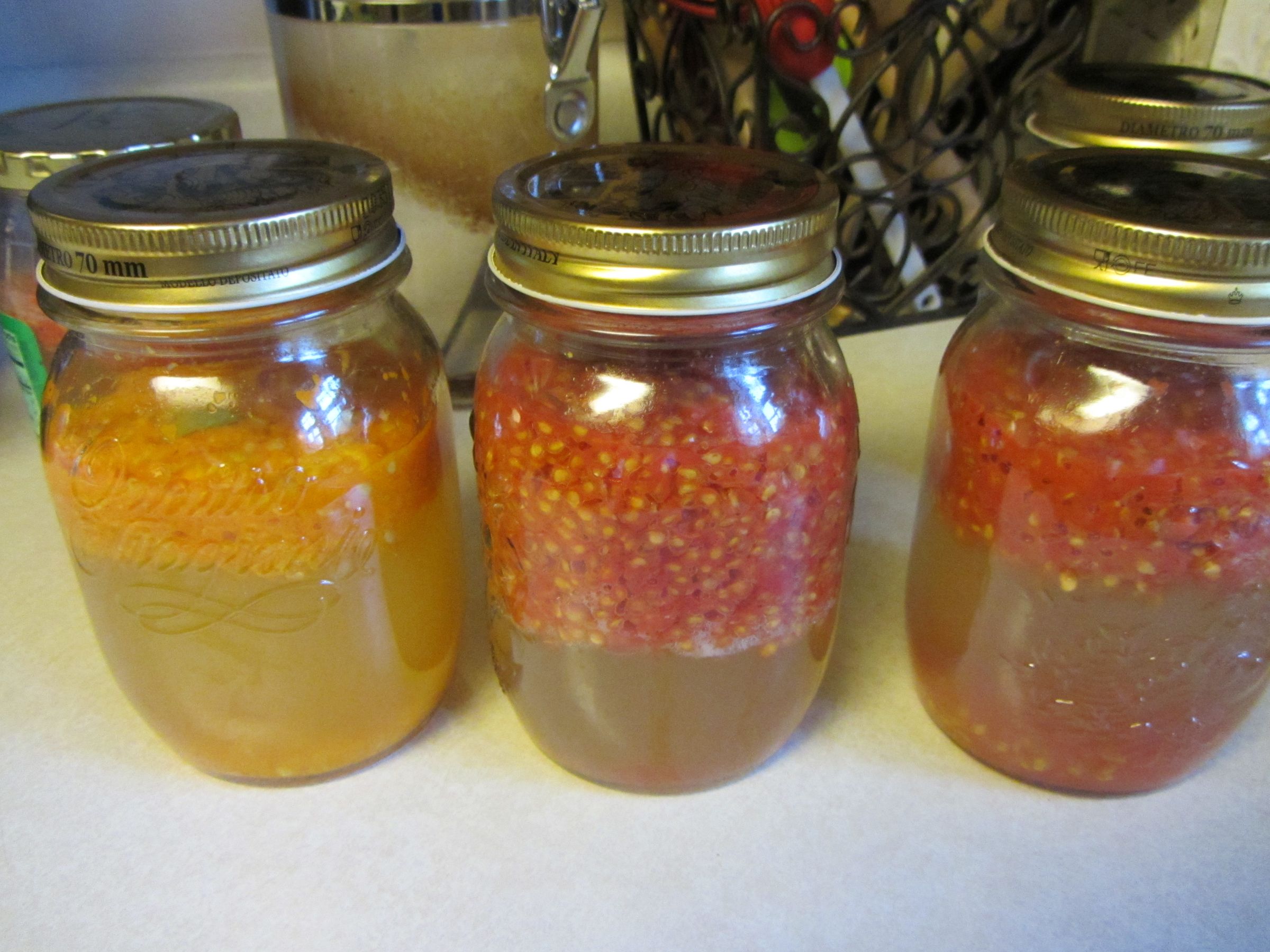 How to Ferment and Collect Tomato Seeds 6 Steps Instructables