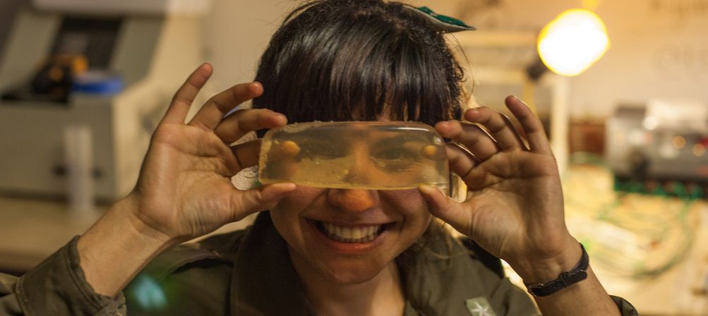 How to Create a Science Hack Day