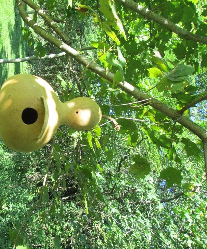 Build a Gourd Birdhouse