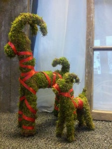 More Examples of Moss Decorations