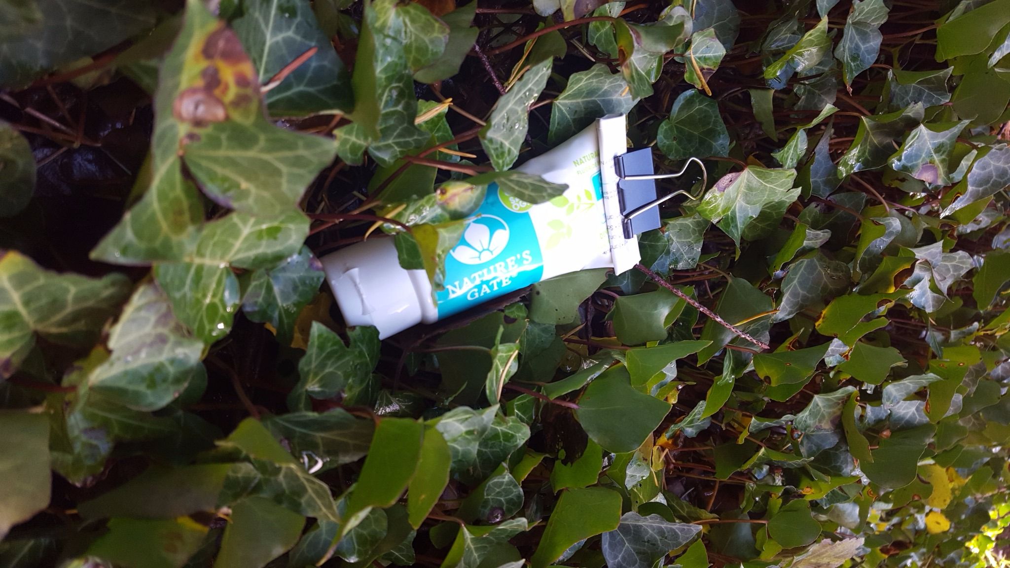 Toothpaste Bug Bite Removal 3 Steps Instructables