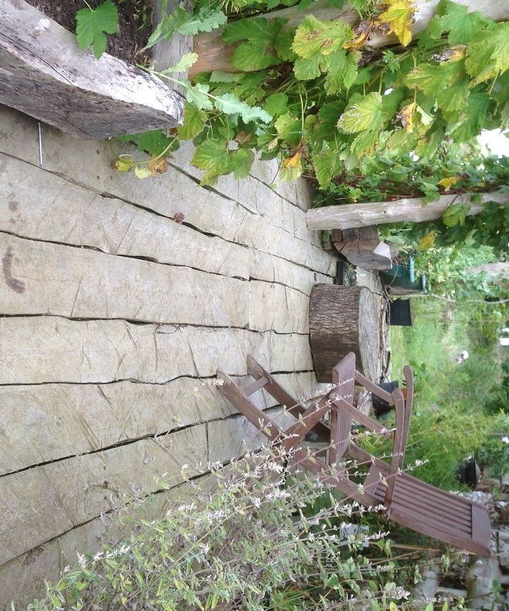 Rustic Decking and Table Top From Tree Trunks