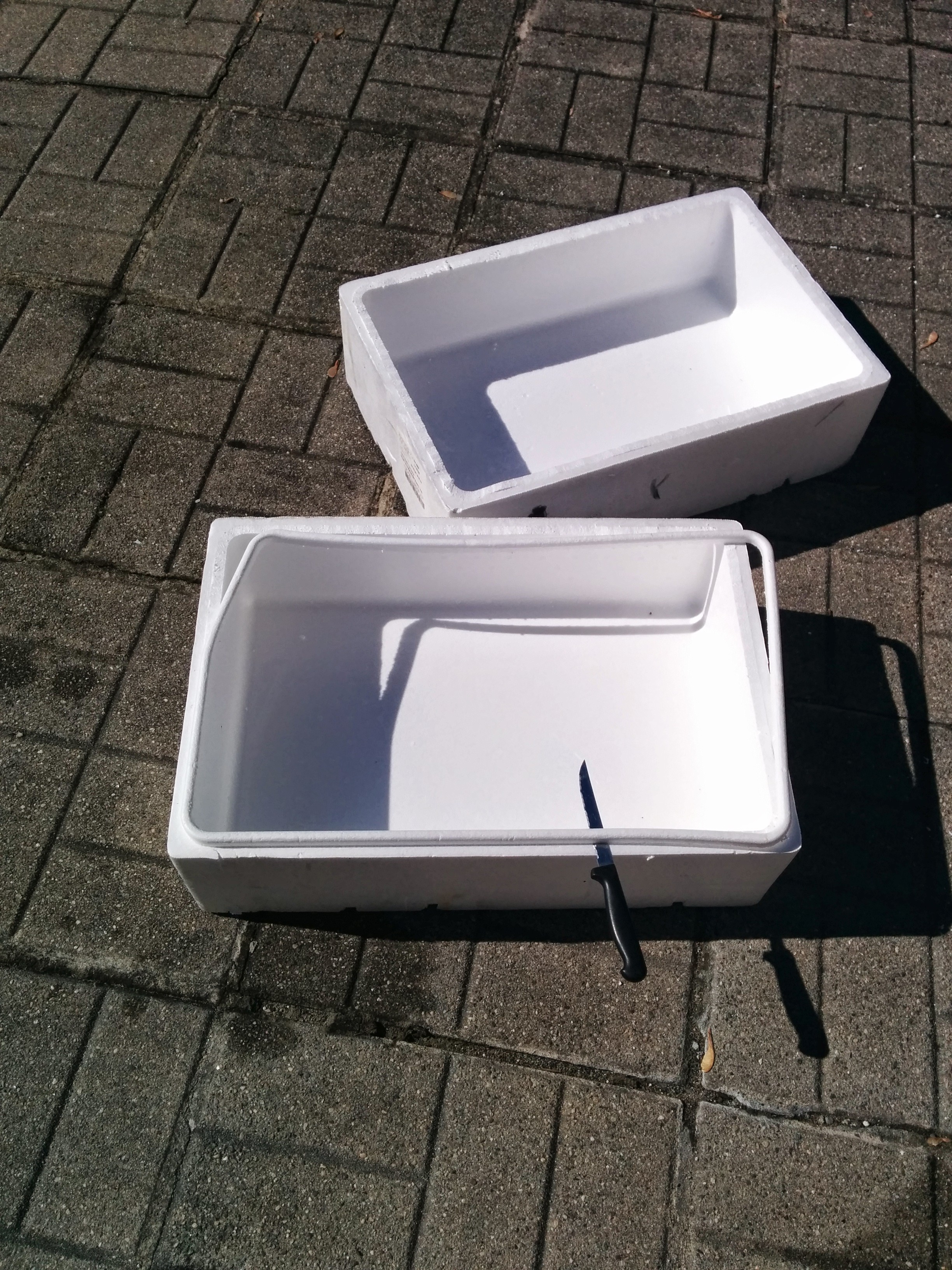 Feral Cat Winter Shelter