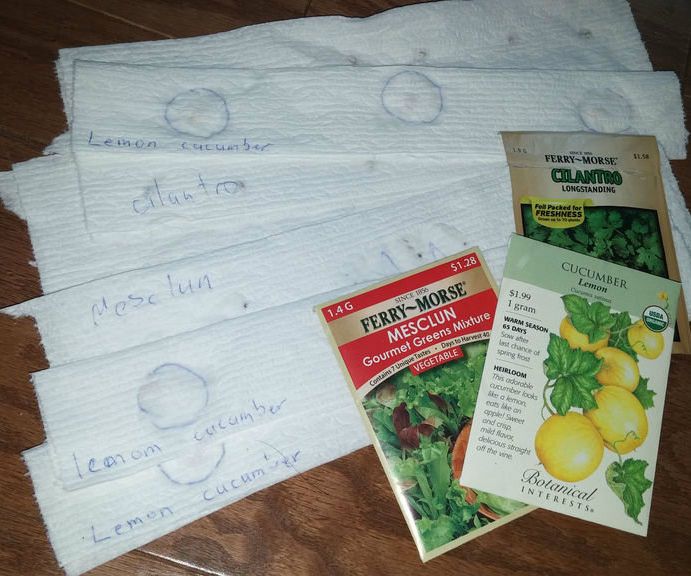 How to Make Seed Tape With Seeds of Any Size