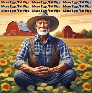 Break Time: Zen Time on the Farm