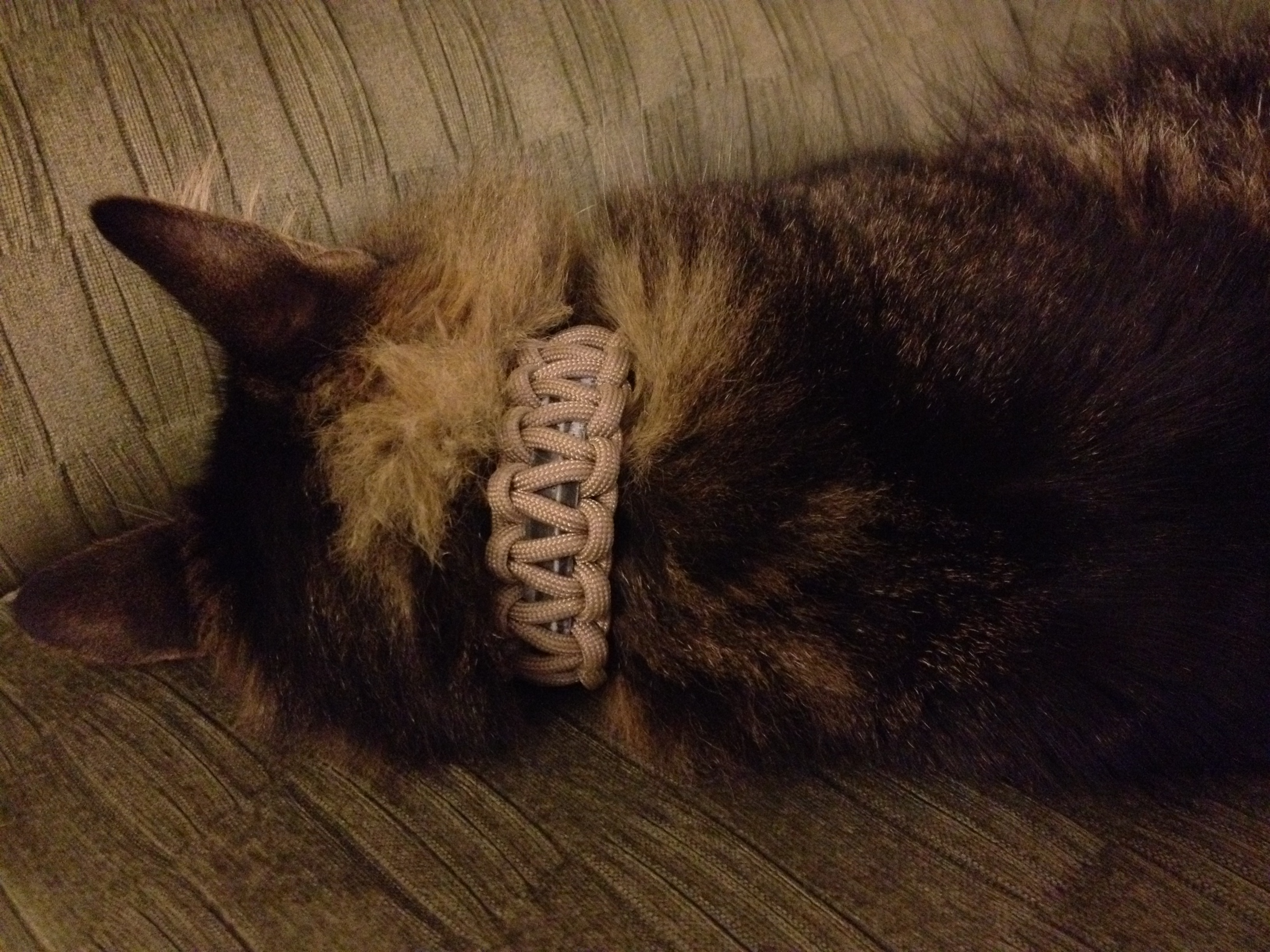 Paracord Flea Collar