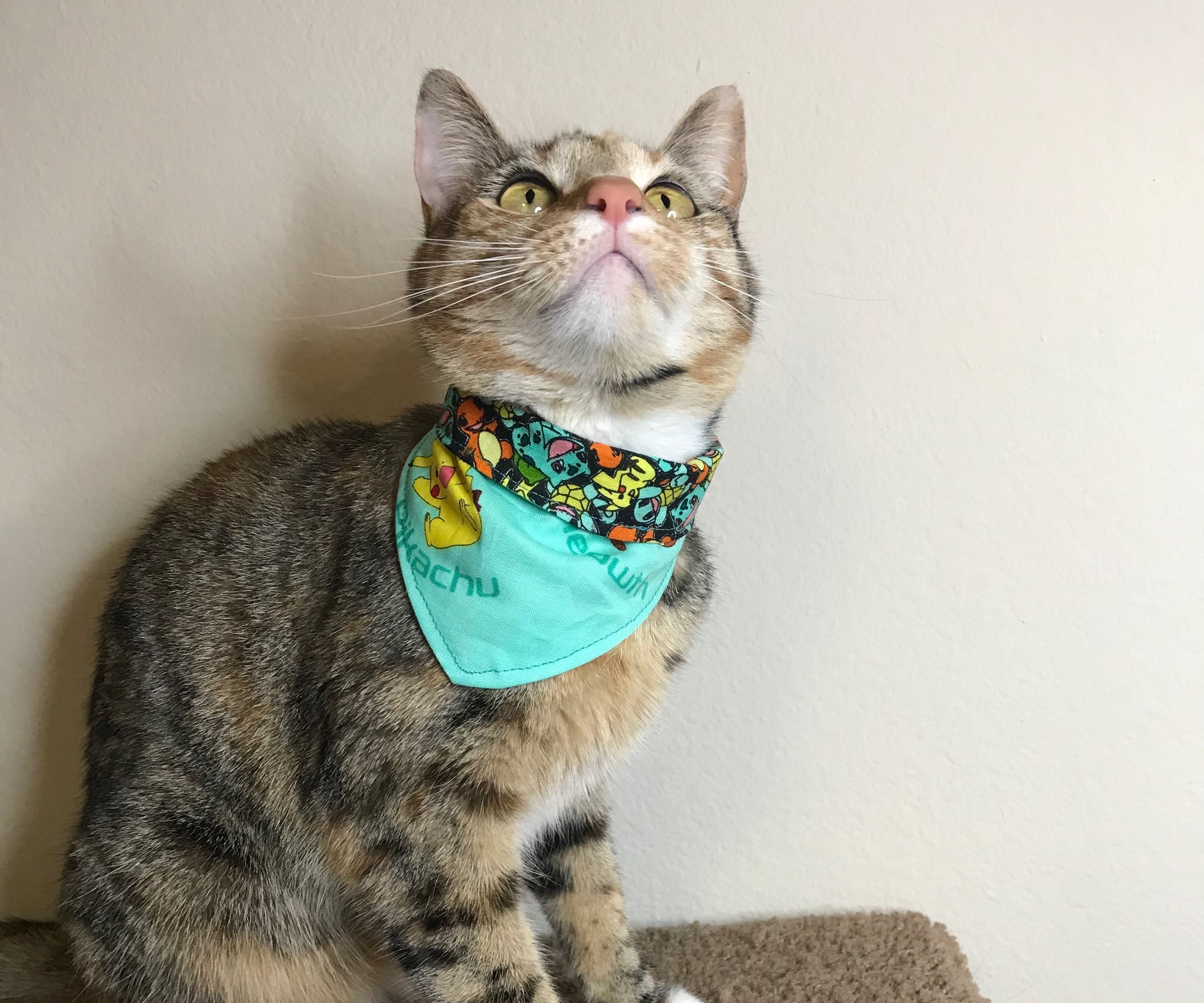 Reversible Pet Bandanna