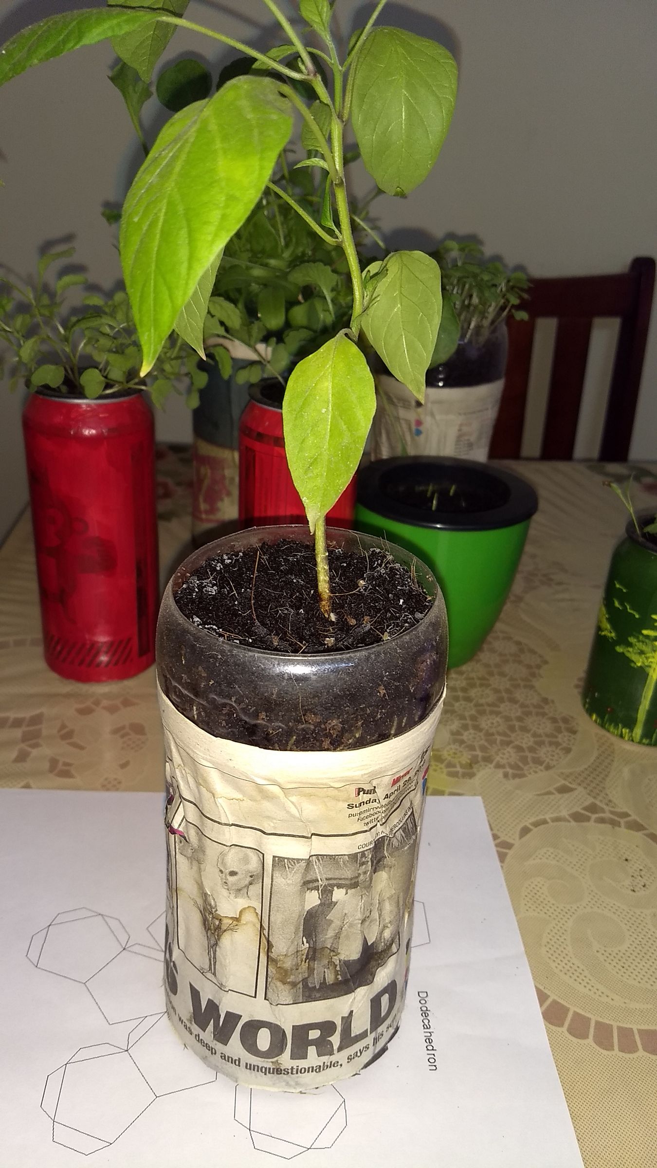 Beerponics (reuse Beer Cans) 8 Steps (with Pictures) Instructables