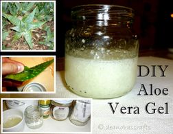 DIY Aloe Vera Gel : 4 Steps (with Pictures) - Instructables