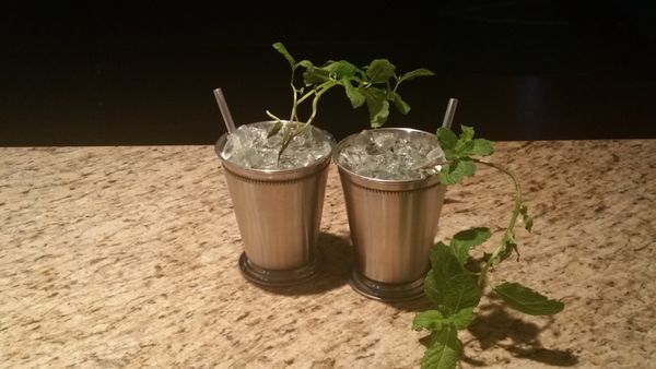 Mint Julep Planters