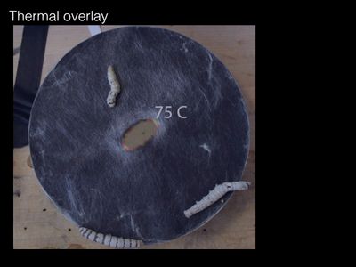 Experiment: Temperature Guided Deposition 