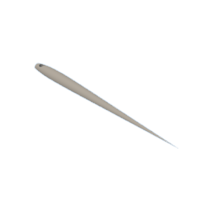 download {{ file.name }}