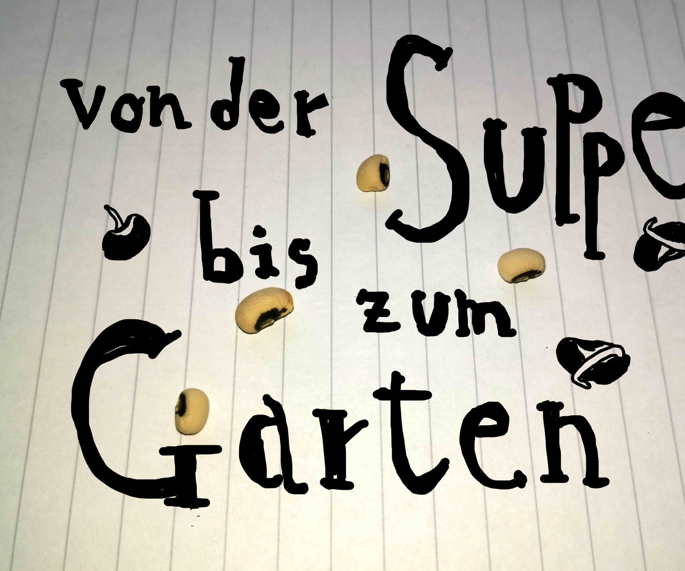 Von Der Suppe Bis Zum Garten: Sprossen Ziehen Und Imaginäre Pflanzen