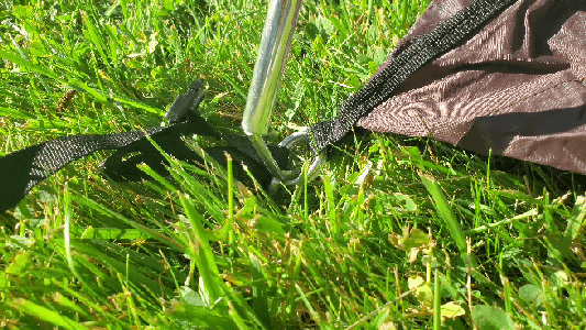 Run the Second Pole Beneath the First, and Insert It Into the Pins.