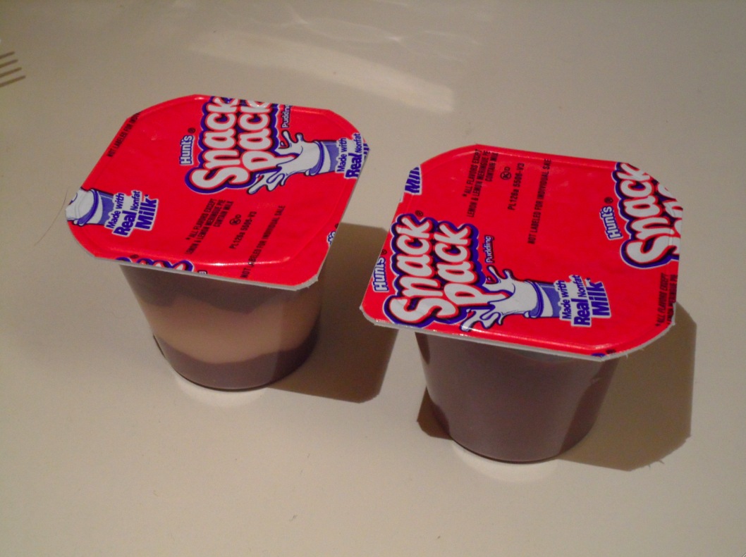 Homemade Pudding Pops