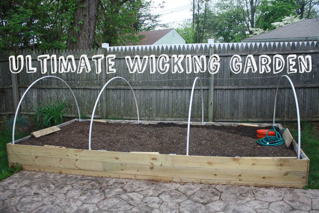Ultimate Auto-Wicking Garden : 10 Steps (with Pictures) - Instructables