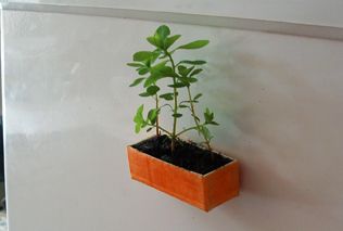 Credit-Card Flower Box (Fridge Magnet)