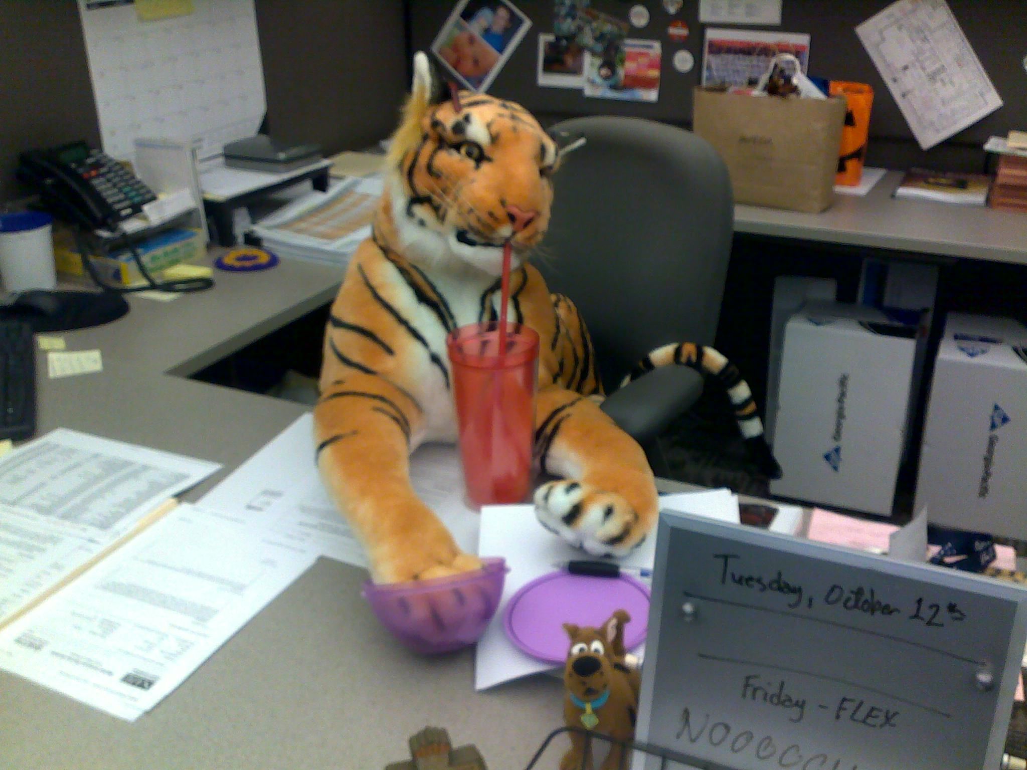 The Adventures of Cubicle Tiger - Part I