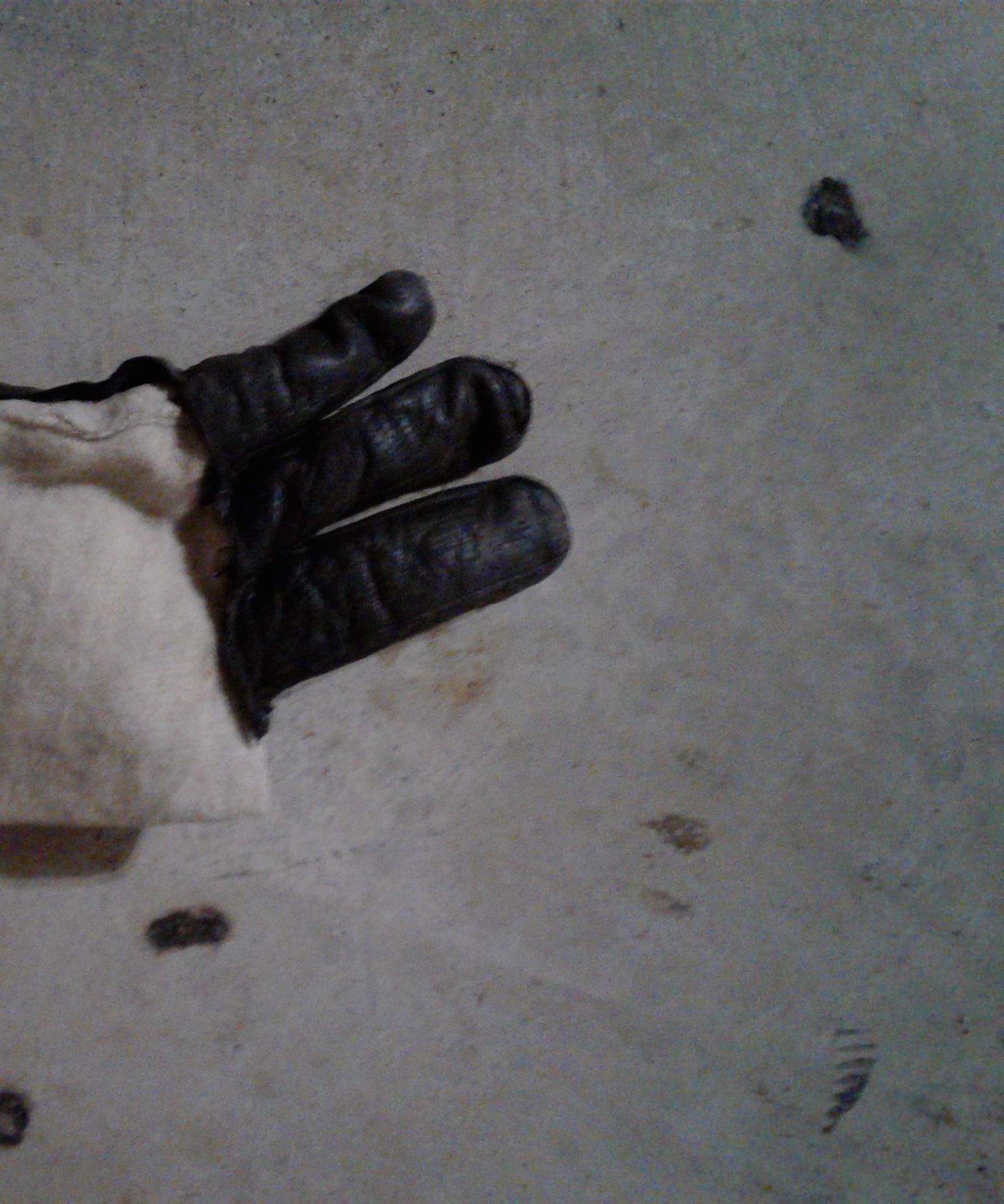 Pocket Knife Sheath, Swiss Army, Victorinox, Wenger