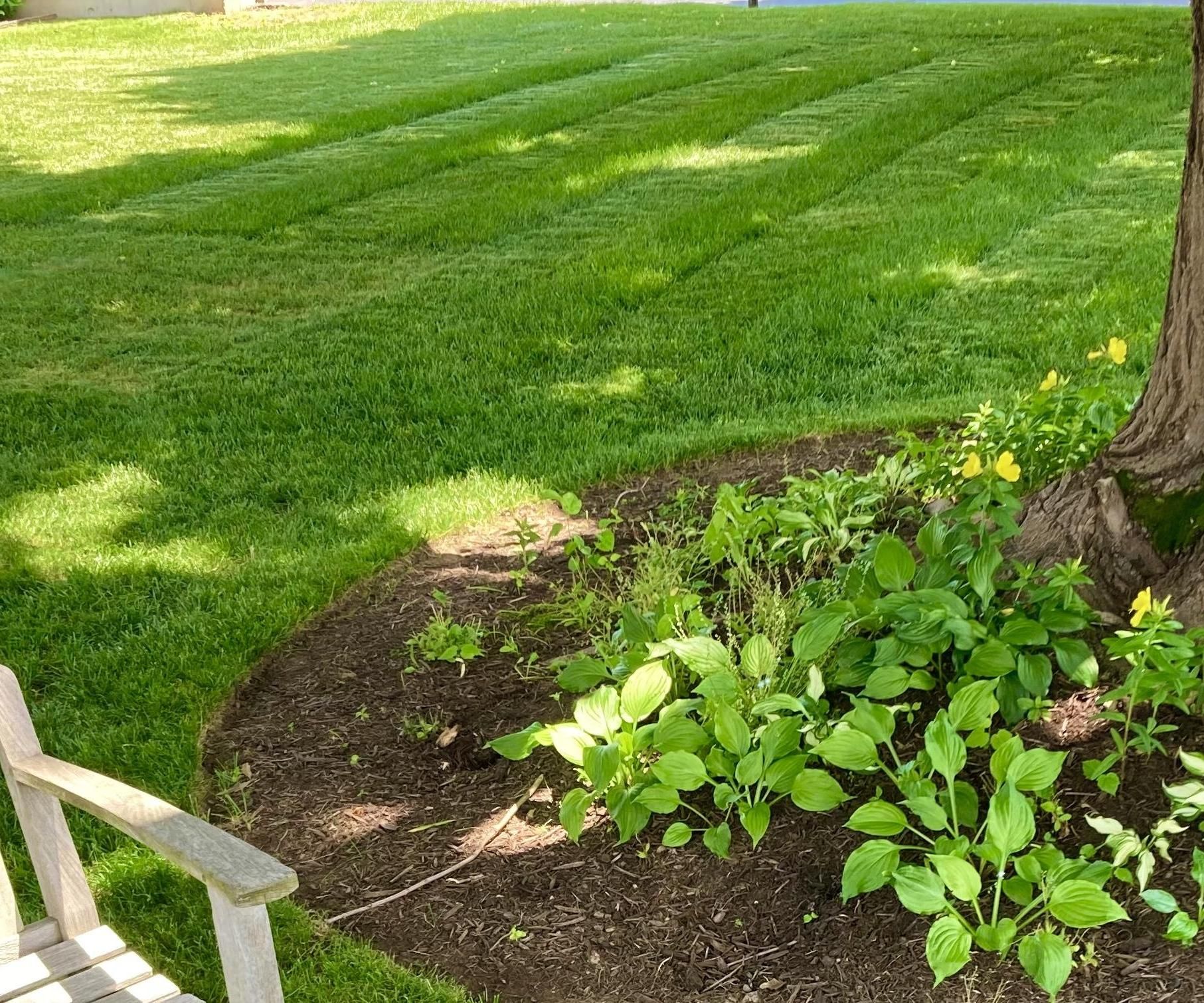 Lawn Striping American Flag