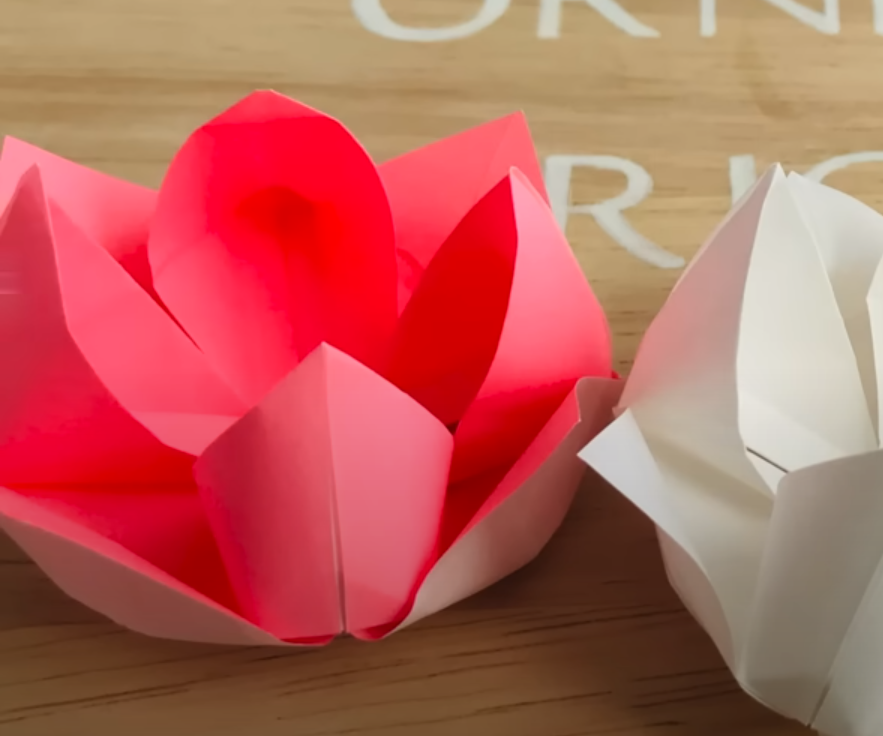 Origâmi Fácil De Uma Flor De Lótus