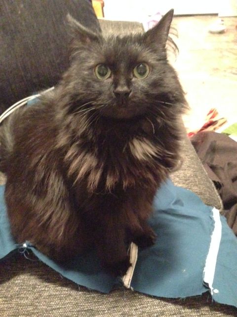 How to Install Boning in a Bodice