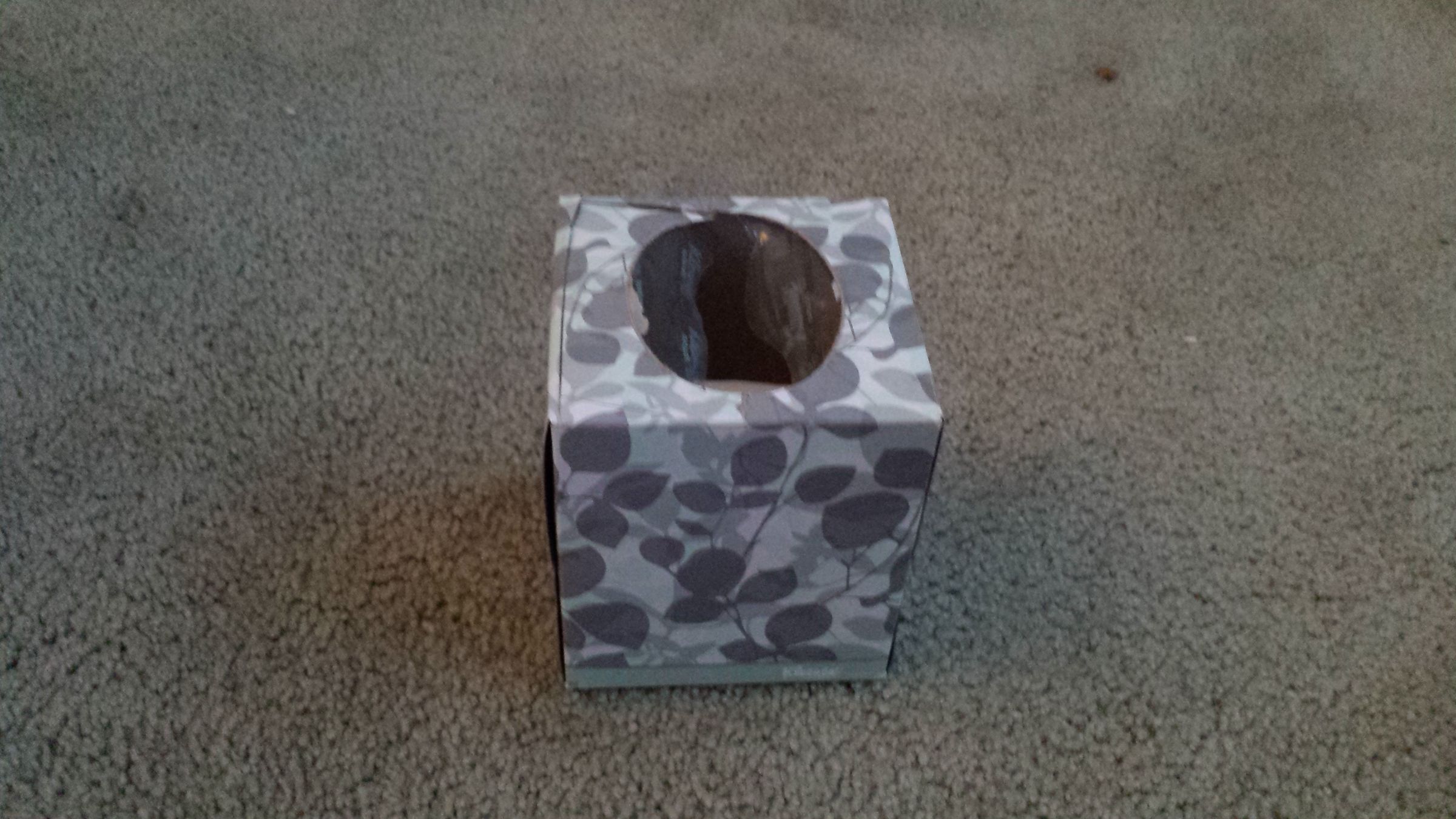 CD Holder
