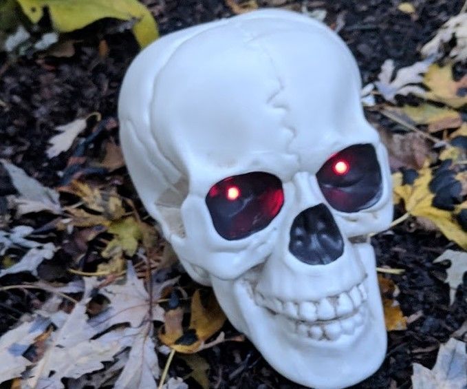 SpookyEyes Skull