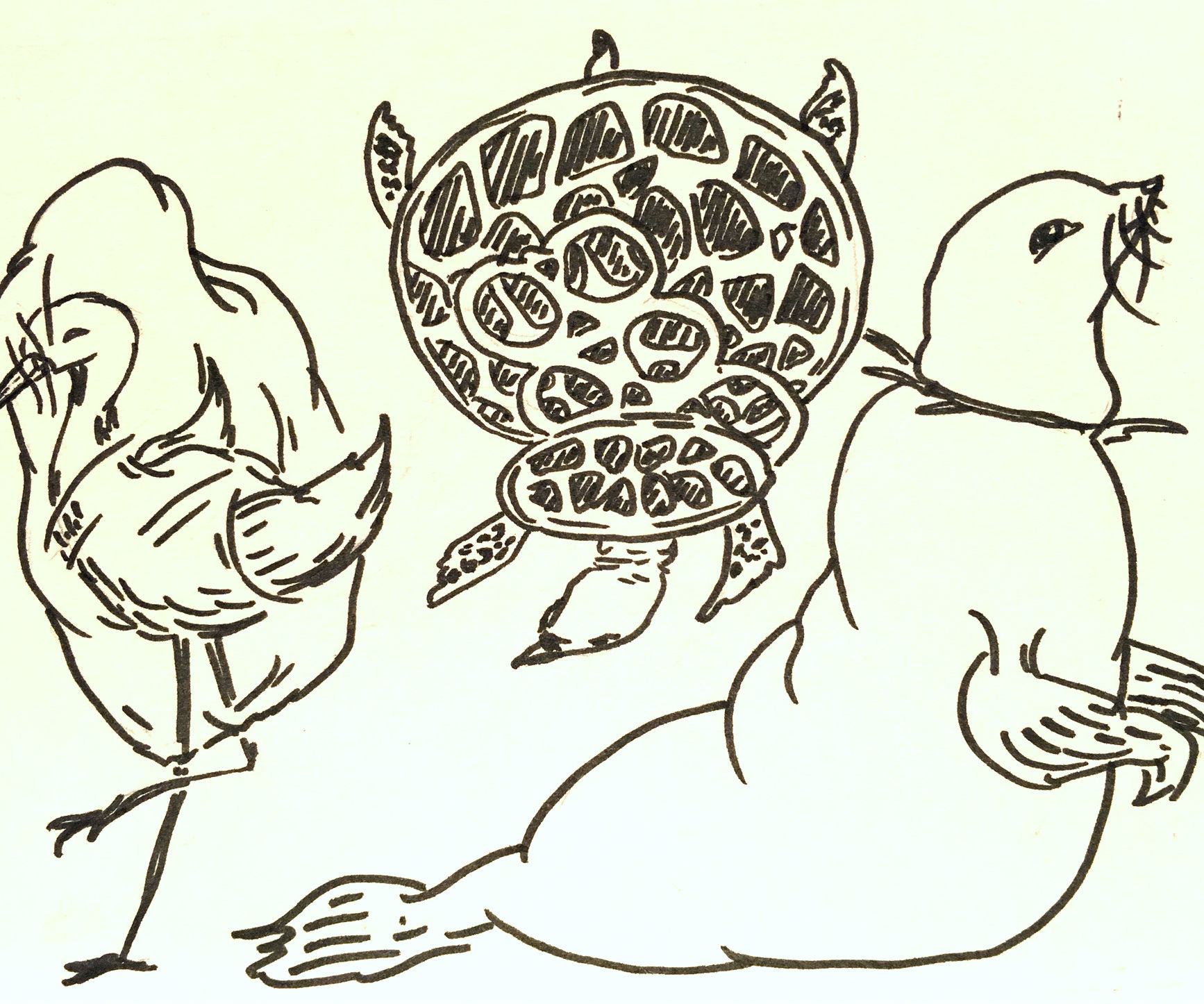 Be Fantastic With Less Plastic