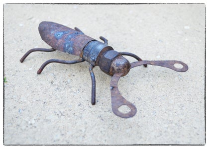 Junk Yard Beetles