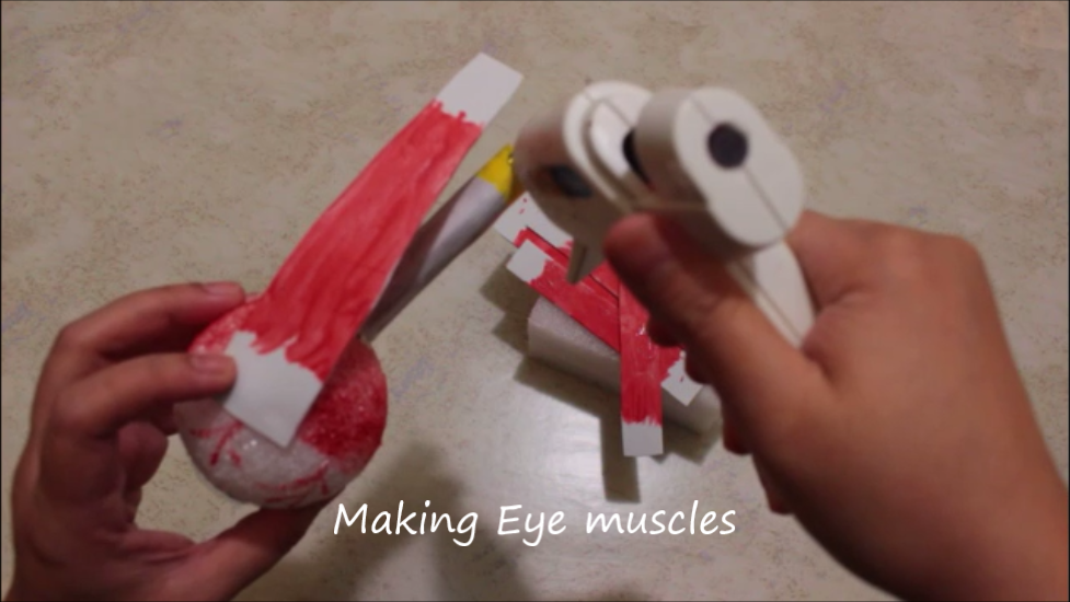 How to Make 3D Human Eye Model: Easy Way - Instructables