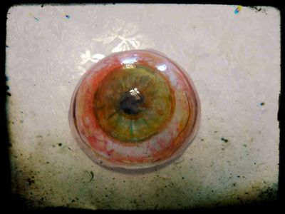 Edible Eye : 6 Steps (with Pictures) - Instructables