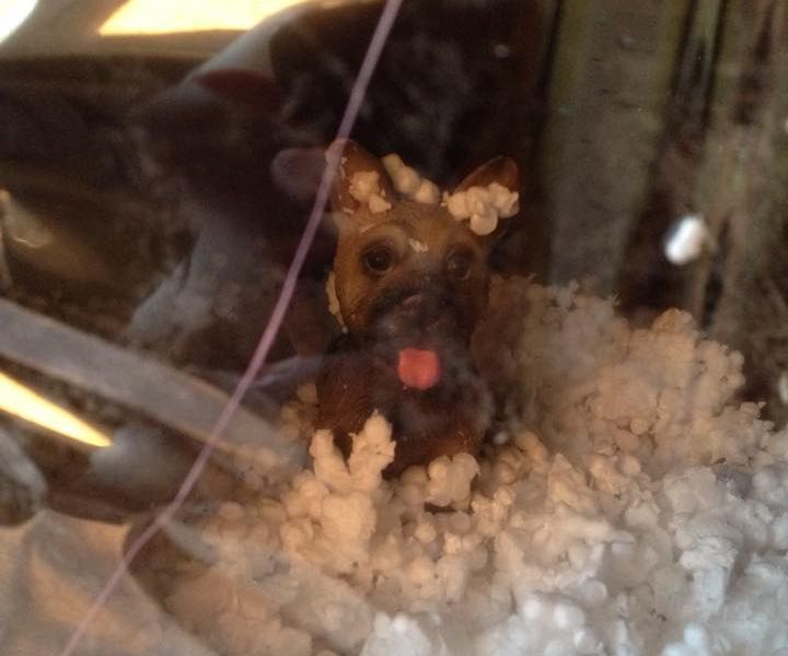 Pc fan snow machine !