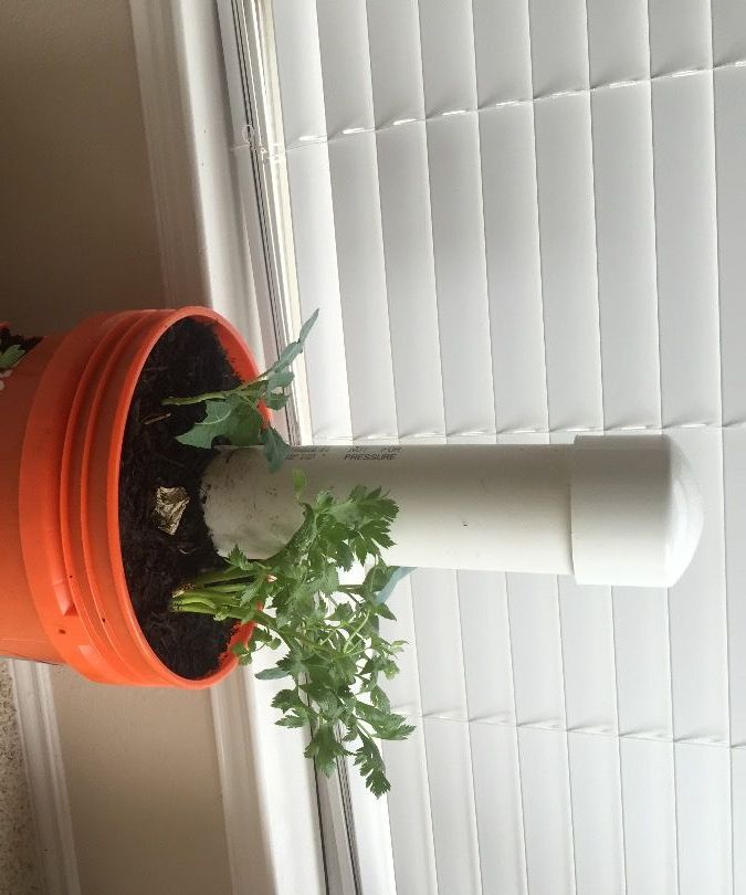 Self Composting Indoor Garden