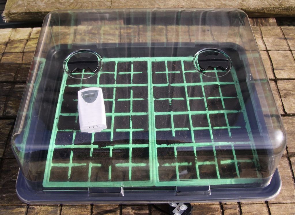 Horticultural equipment for chilli growing